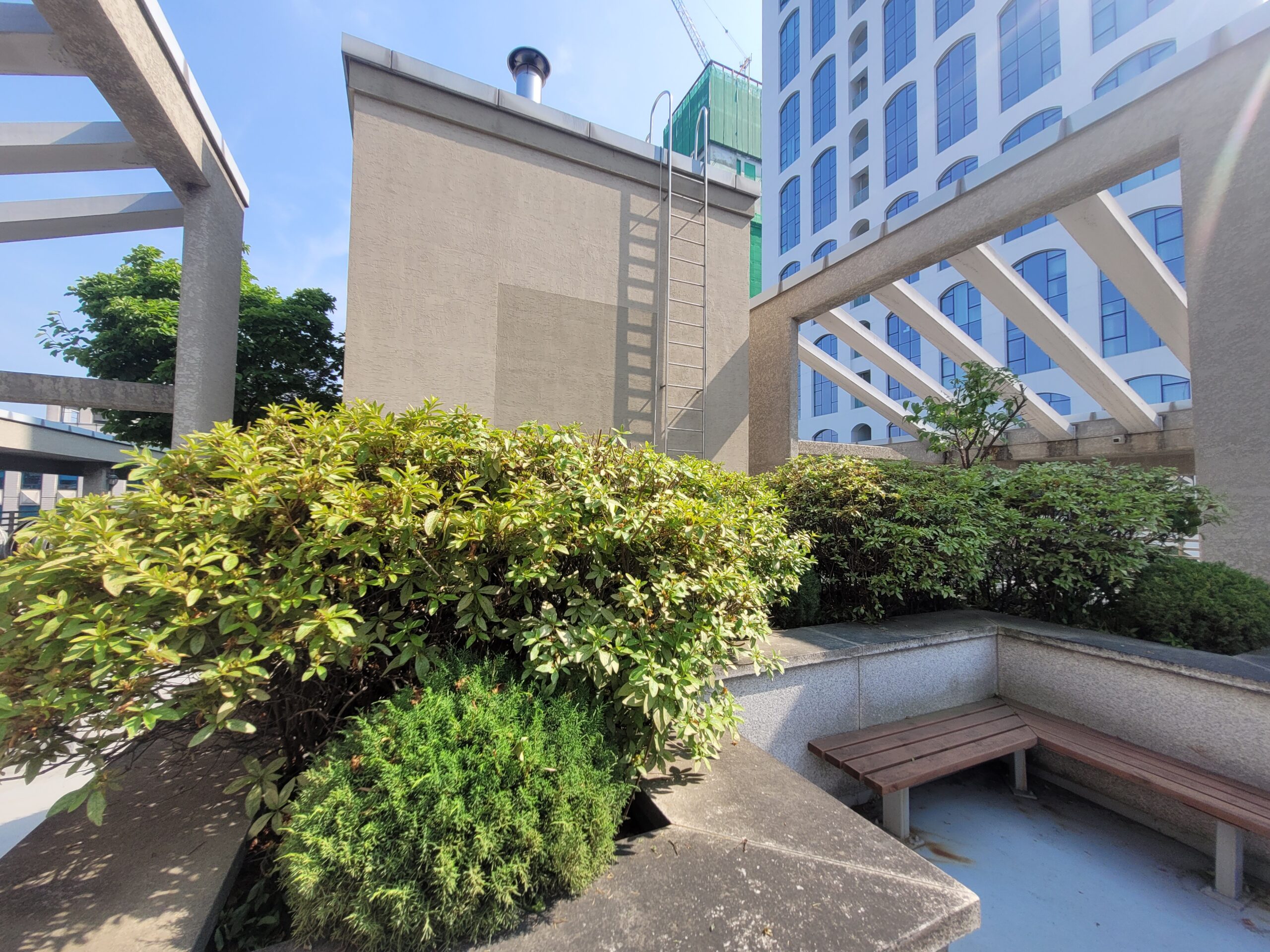 수목 및 조경 관리